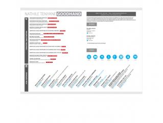 Resume Template Paragon View 1