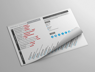 Resume Template Paragon View 1