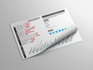 Resume Template Paragon View 1