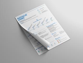 Resume Template Innovate View 1