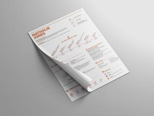 Resume Template Innovate View 1