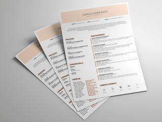 Resume Template Edge View 1