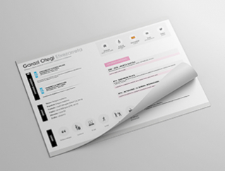 Resume Template Pioneer Pro View 1