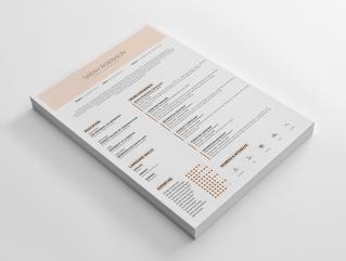 Resume Template Edge View 1