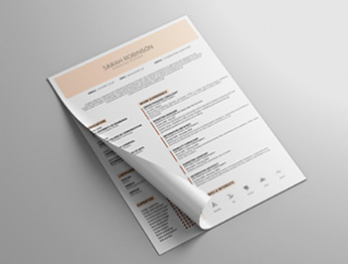 Resume Template Edge View 1