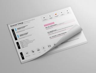 Resume Template Pioneer Pro View 1