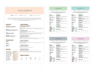 Resume Template Edge View 1