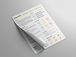 Resume Template Flourish View 1