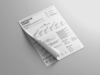 Resume Template Innovate View 1