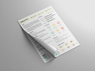 Resume Template Flourish View 1