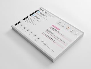 Resume Template Pioneer Pro View 1