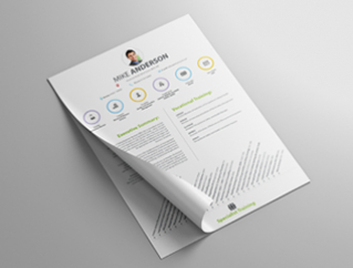 Resume Template Vital View 1