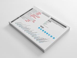 Resume Template Paragon View 1